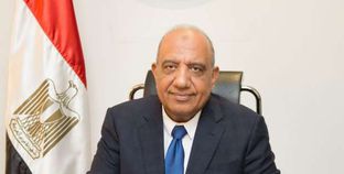 الدكتور محمود عصمت وزير قطاع الأعمال العام
