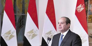 مواقف الدولة المصرية في القضايا العربية.. 10 سنوات من الريادة