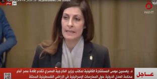 ممثلة جمهورية مصر العربية أمام محكمة العدل الدولية