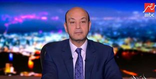 عمرو أديب لمقاطعي الاستفتاء: "مش هنبوس إيديكم عشان تروحوا"
