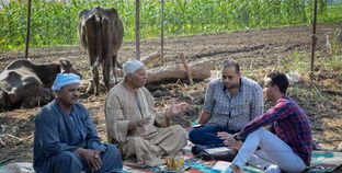 مزارعو المنوفية يتحدثون لـ«محرر الوطن»