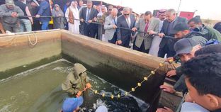 أحواض سمكية بأم شحان في وسط سيناء