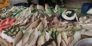 الأسماك في سوق الأنصاري بالسويس