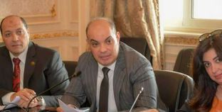 علاء حمدي قريطم عضو لجنة الصناعة بمجلس النواب