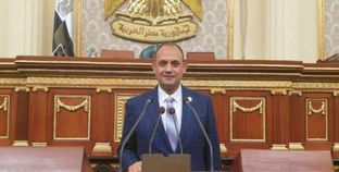 هشام الجاهل، عضو مجلس النواب
