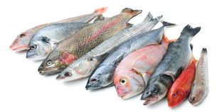 7 فوائد للأسماك الدهنية
