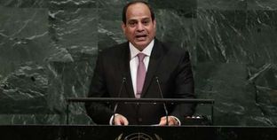 مصر تنضم إلى مدونة سلوك بالأمم المتحدة حول مكافحة الإرهاب