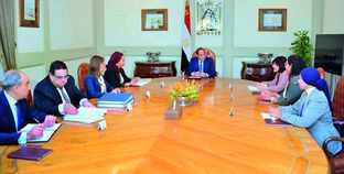 الرئيس عبدالفتاح السيسى خلال اجتماعه بأعضاء المجلس التخصصى للتنمية الاقتصادية «صورة أرشيفية»