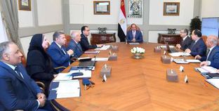 الرئيس عبدالفتاح السيسي خلال اجتماعه برئيس الوزراء