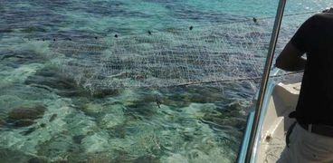 "البيئة": ضبط كمية كبيرة من شباك الصيد المخالفة حول شعاب مرجانية بـ"الغردقة"