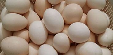 أسعار البيض في أسوان