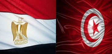 العلاقات المصرية التونسية