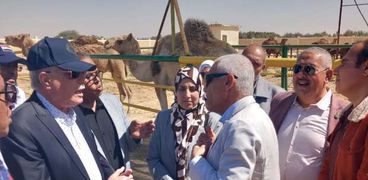محافظ جنوب سيناء يتابع تربية الأبل بالمحافظة