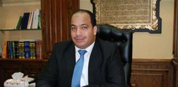 الدكتور عبد المنعم السيد، رئيس مركز القاهرة للدراسات الاقتصادية والاستراتيجية