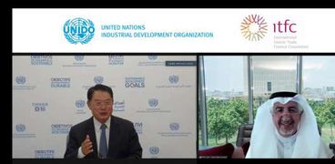منظمة الأمم المتحدة للتنمية الصناعية