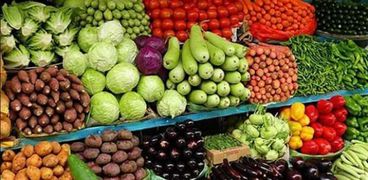 أسعار الخضراوات اليوم في مصر