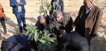 رئيس جامعة بني سويف يغرس اول شجرة مثمرة