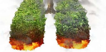 حرائق غير مسبوقة في غابات الأمازون