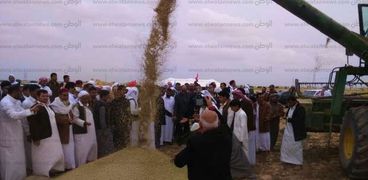 وزير الزراعة ومحافظ مطروح يشهدان حصاد القمح والشعير
