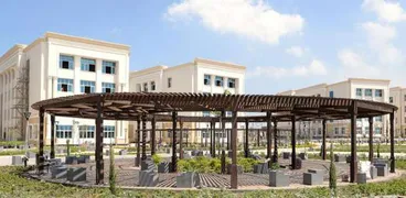 جامعة المنصورة