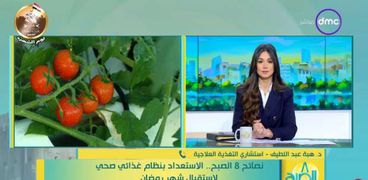 الدكتورة هبة عبداللطيف استشاري التغذية العلاجية