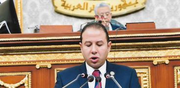 النائب حسن عمار عضو مجلس النواب
