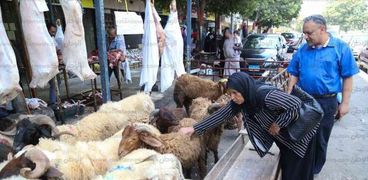 مواطنون أثناء شراء «خراف حية» من أحد شوادر الأضاحى