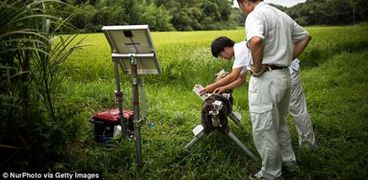 ذئاب آلية لحماية المحاصيل من الحيوانات البرية في اليابان