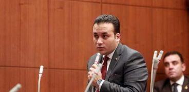 النائب عمرو فهمي، عضو مجلس الشيوخ