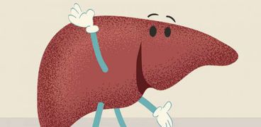 12 معلومة غريبة عن وظائف الكبد واهميته للجسم قد تسمع عنها لأول مرة