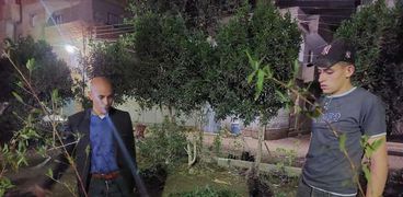 زراعة 1000 شجرة مثمرة بقرية كفور بلشاي