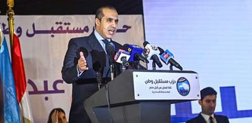 محمود فوزي رئيس حملة المرشح الرئاسي عبد الفتاح السيسي