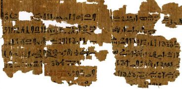 علماء دنماركيون: استخدام القمح فى تحديد الحمل يرجع للمصريين القدماء