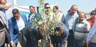 وزير التنمية المحلية ومحافظ بني سويف يشاركان في مبادرة زراعة الأشجار