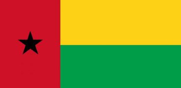 مرشح المعارضة يفوز في انتخابات غينيا بيساو الرئاسية