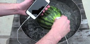 التكنولوجيا وصلت إلى البطيخ