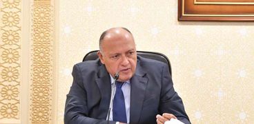 السفير سامح شكري، وزير الخارجية المصري