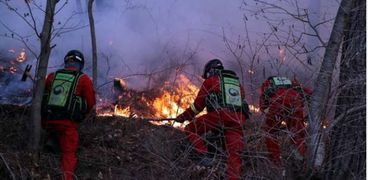 قوات الإطفاء يحاولون السيطرة على حريق الغابات