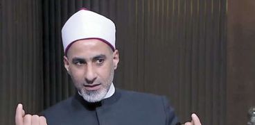 د. السيد عبدالبارى