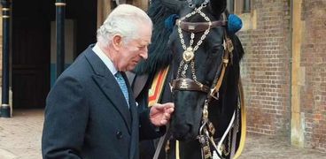 الملك تشارلز والحصان الجديد «نوبل»
