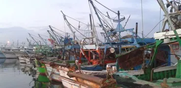 مراكب الصيد بسواحل البرلس في كفر الشيخ