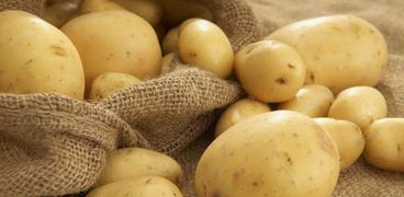 ارتفاع ملحوظ في أسعار البطاطس بمحافظة الدقهلية