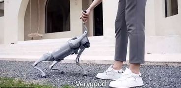 روبوت على هيئة كلب