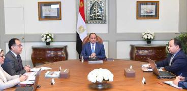 اجتماع الرئيس عبد الفتاح السيسي برئيس الحكومة ووزير المالية