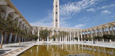 مسجد بالجزائر