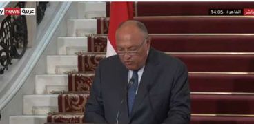السفير سامح شكري .. وزير الخارجية المصري