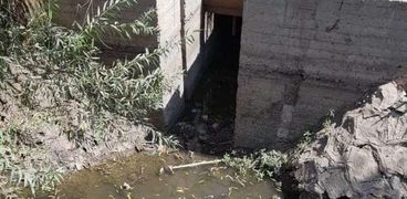 برلماني: 50 ألف فدان مهدد بالبوار بسبب نقص مياه الري في بني سويف