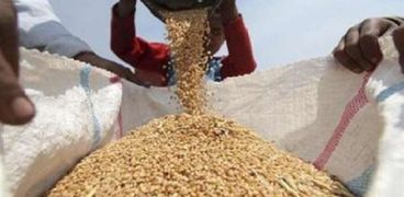 أسعار القمح تعاود الارتفاع عالميا