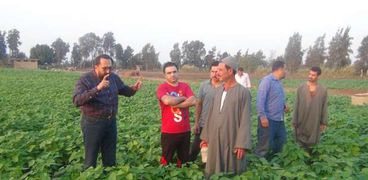 د. محمد سالم مع مزارعين خلال تجارب مركز البحوث الزراعية
