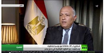 سامح شكري وزير الخارجية المصري